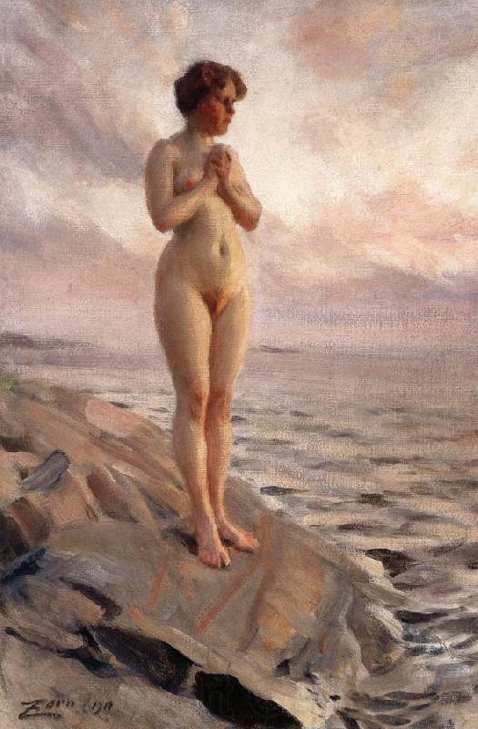 Anders Zorn Female Nude